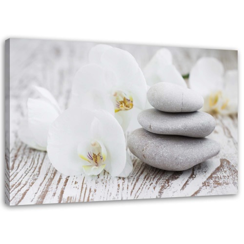 Obraz na plátně Lázeňské kameny Orchid Zen