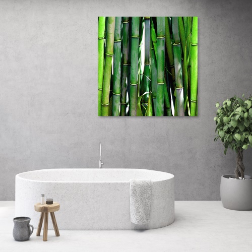 Obraz na plátně, Zelený bambus