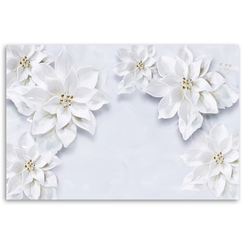 Obraz na plátně, Zasněžené bílé květy rostliny