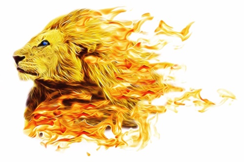 Samolepiaca tapeta ohnivý lev