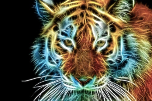 Obraz hlava tigra v abstraktnom prevedení