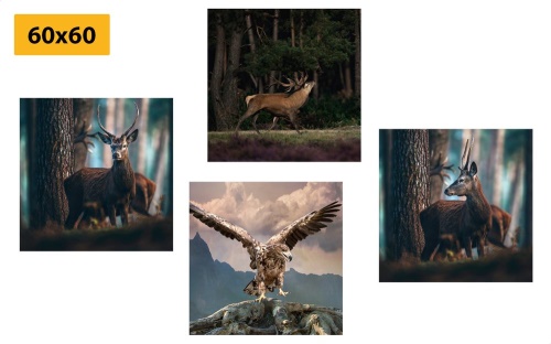 Set obrazov krása lesných zvierat