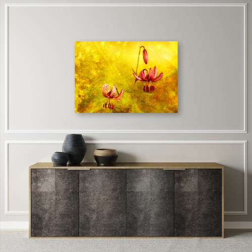 Obraz na plátně, Zaskacené tulipásy květin