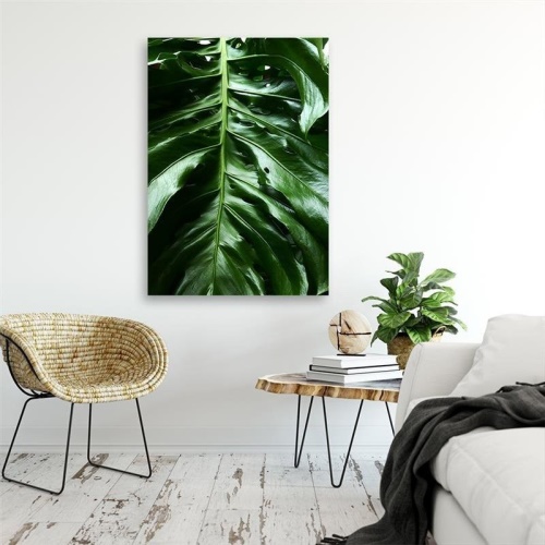 Obraz na plátně Monstera Leaf Nature Tropical