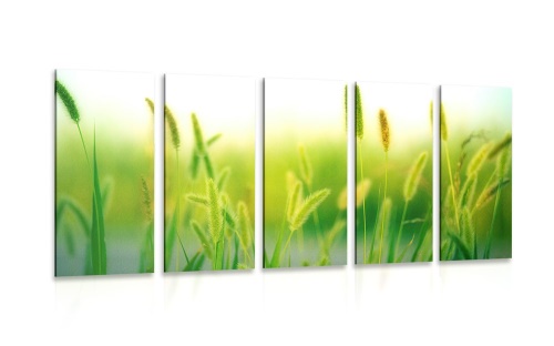 5-dielny obraz steblá trávy v zelenom prevedení