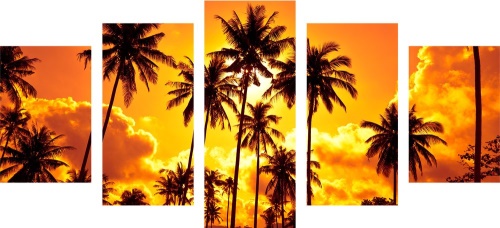 5-dielny obraz kokosové palmy na pláži