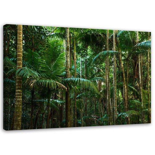 Obraz na plátně Příroda palmového lesa
