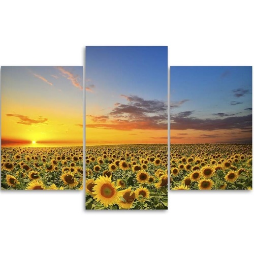 Obraz na plátně třídílný Slunečnice Květiny Louka