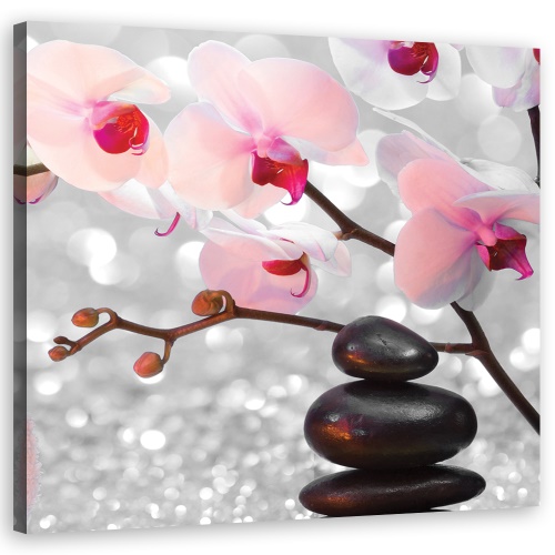 Obraz na plátně, Zen Stones a větvička orchideje