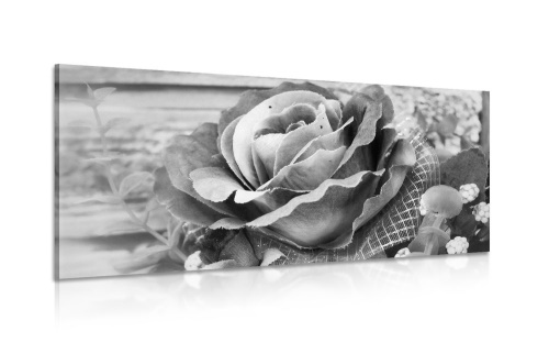 Obraz elegantná vintage ruža v čiernobielom prevedení