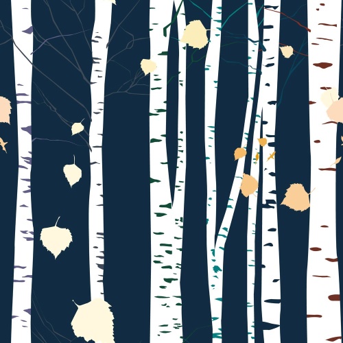 Samolepiaca tapeta tajomné brezové stromy - 75x1000 cm