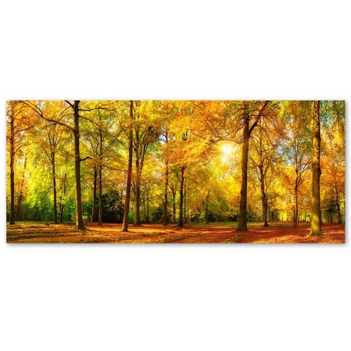 Obraz na plátně Lesní podzimní žlutá